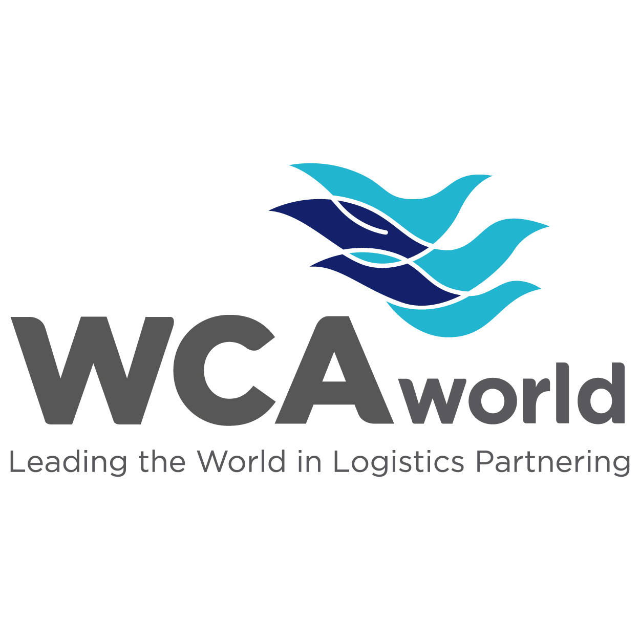 WCAworld